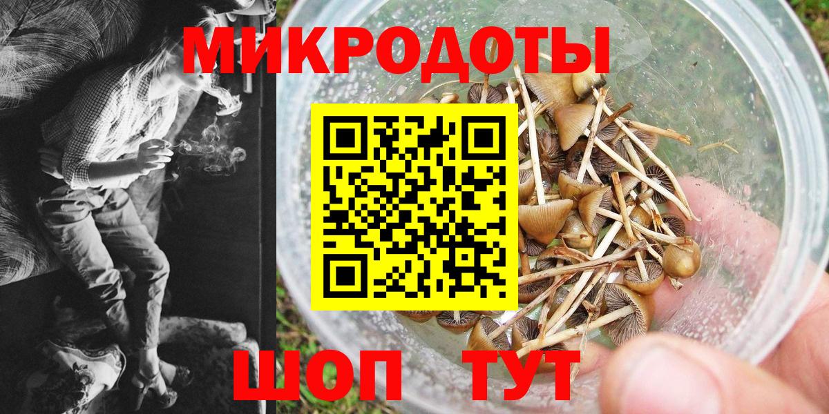 Псилоцибиновые грибы Psilocybe  Вход с VPN  Королёв 